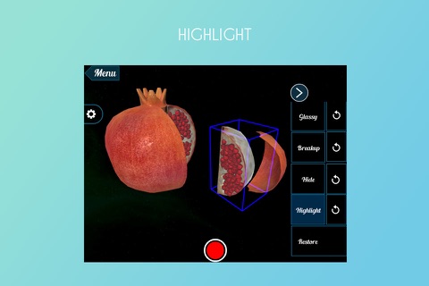 VR Pomegranate screenshot 3