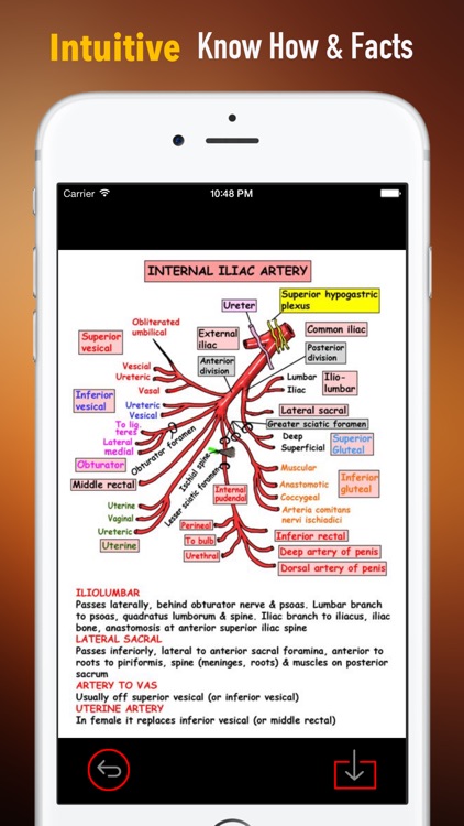 Internal Medicine Terminology and Flashcard: Study Guide and Courses