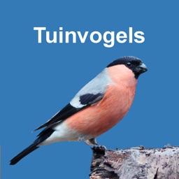 Vogels in de tuin