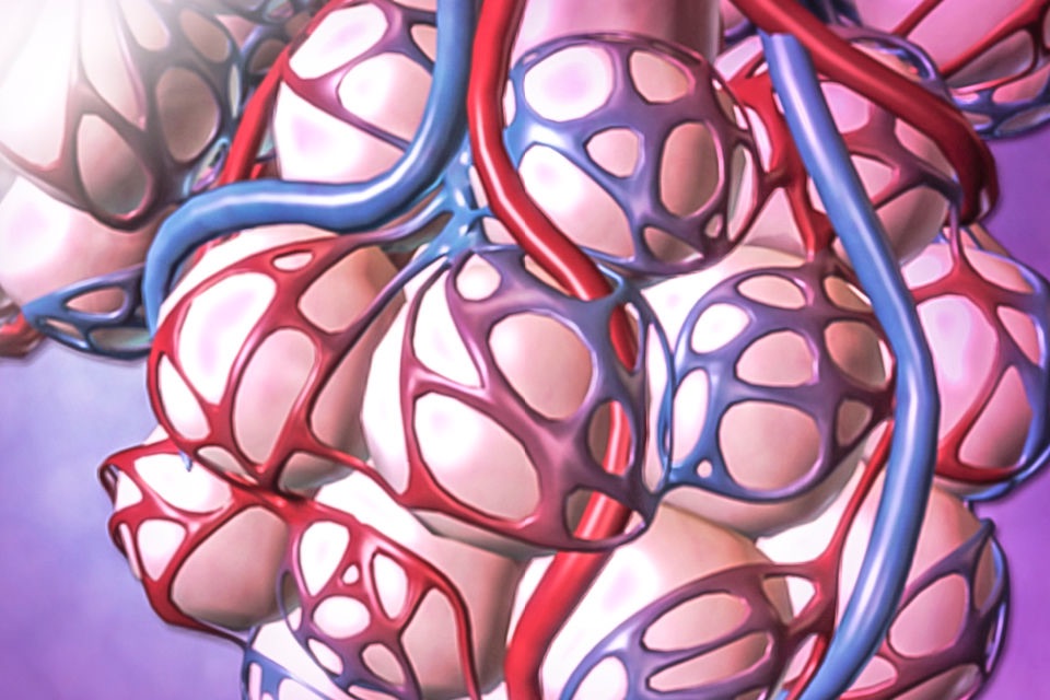 For Organizations - Physiology Animations screenshot 2
