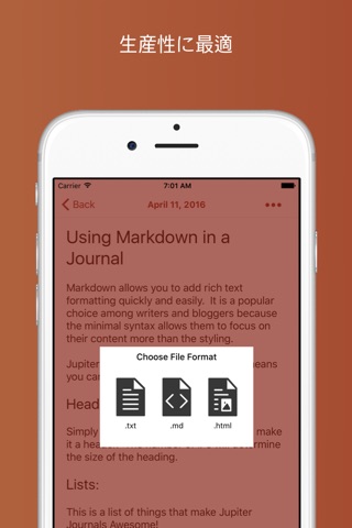 Jupiter Journals - Keep a Personal Journal screenshot 4