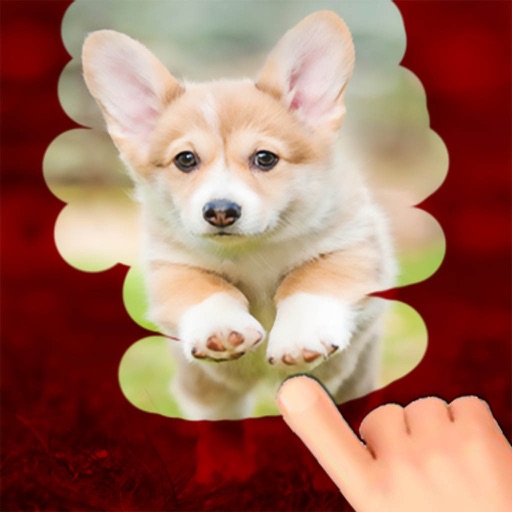 A Dog game to scratch Hidden Pics - Mini game for Kids - Playing cool breed games - animal best dogs pics iOS App