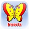 Learn English Vocabulary Lesson 3 is Learn the vocabulary about Insects