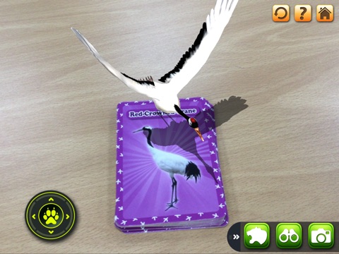 【图】3D LEARNING CARD BIRDS(截图3) 【图】3D LEARNING CARD BIRDS(截图3)