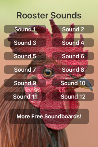 Rooster Sounds - náhled