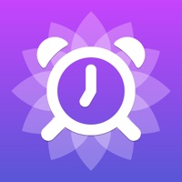 Easy Rise Alarm Clock app not working? crashes or has problems?