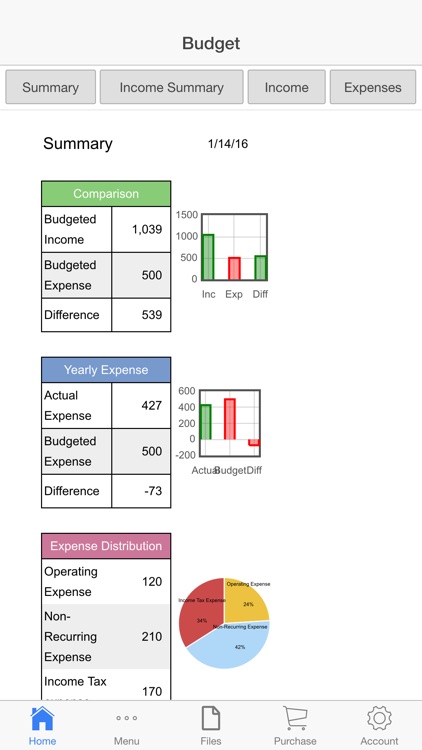 Business Budget Pro