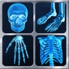 Icon X-Ray Full Body Prank