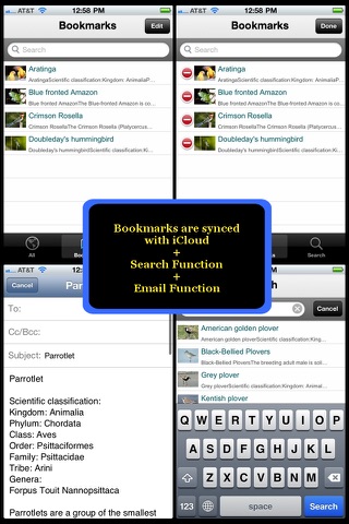 Birds Encyclopedia Plus+ screenshot 3