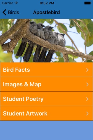 Lake Ranfurly Birds and Plants by Mildura West Primary School Environmental Team screenshot 3