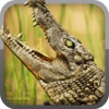 Alligator Hunt Simulator - New Real Action Sniper Games