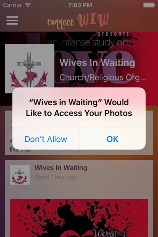 Wives in Waiting screenshot 2