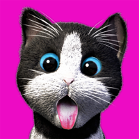 Daily Kitten  virtual cat pet