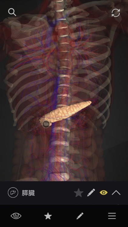 teamLabBody-Internal Organs- screenshot-3