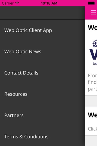 Web Optic screenshot 2