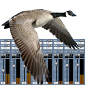 Goose Call Mixer app review