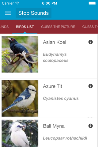 Asian Birds Sounds No Ads screenshot 3