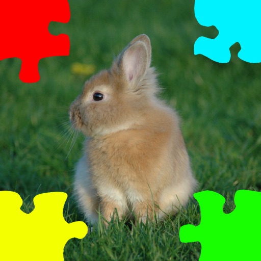 Baby Rabbits Jigsaw Puzzles Icon