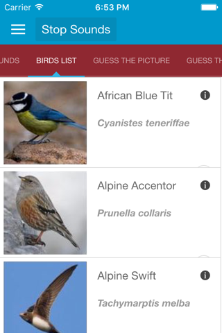 Spanish Birds Sounds screenshot 3