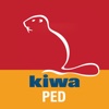 Kiwa Inspecta PED Calculator