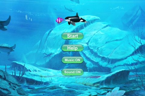 Feeding Fish Frenzy screenshot 4