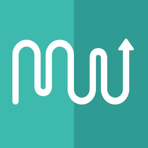 MileWiz - Automatic Mileage Tracker & Digital Driver Log iOS App