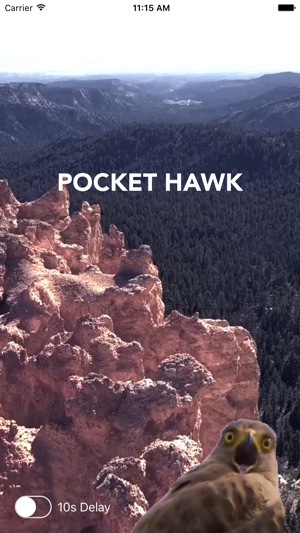 Pocket Hawk(圖1)-速報App