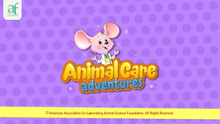 Animal Care Adventures