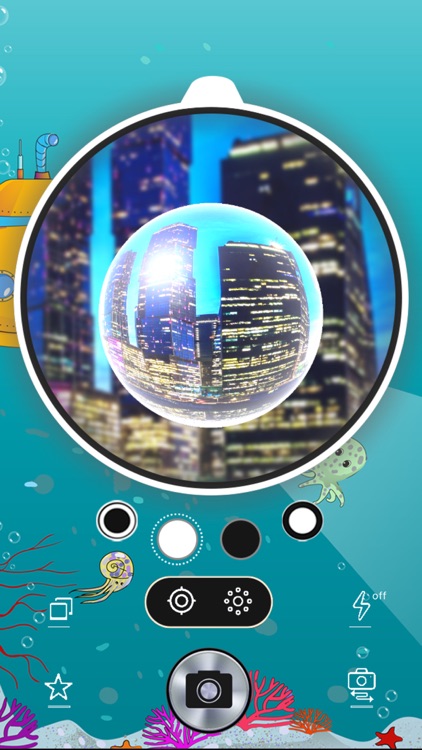 Circular Fisheye Lens Camera