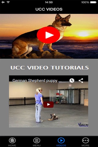 German Shepherd Puppy Training Made Easy - Best Guide & Tips For Beginners screenshot 3