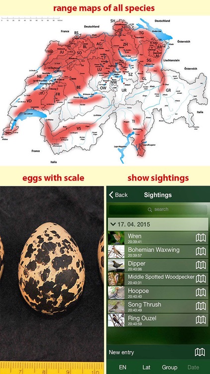 All birds Switzerland - a complete field guide to all the birds ever recorded in Switzerland screenshot-3