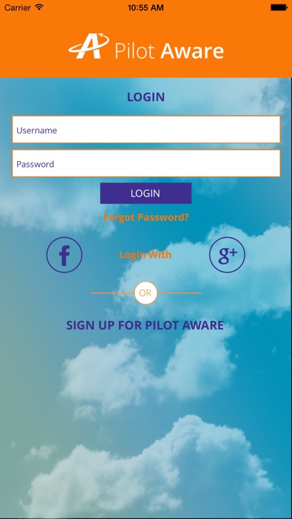 Pilot Aware