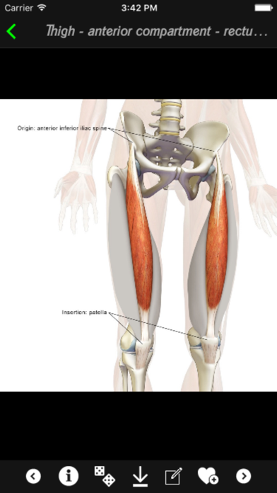 How to cancel & delete Human Muscles Info from iphone & ipad 3