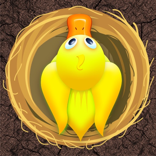 Amazing Bird Nest Jumper Pro - new fast racing arcade game Icon