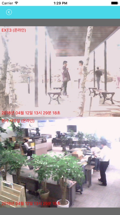 네트윈아이뷰 netween-i view