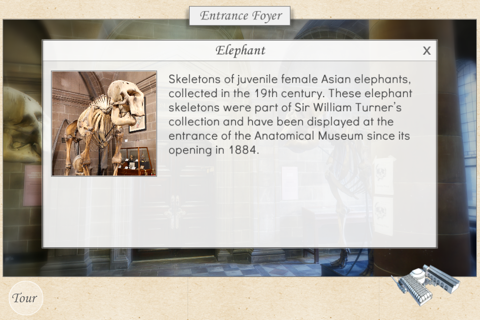 Edinburgh Anatomical Museum Tour screenshot 4