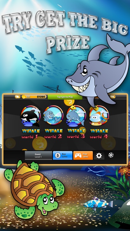 Big whale casino entertainment