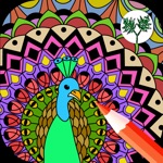 Love Birds Art Class Stress Relieving Coloring Books for Adults