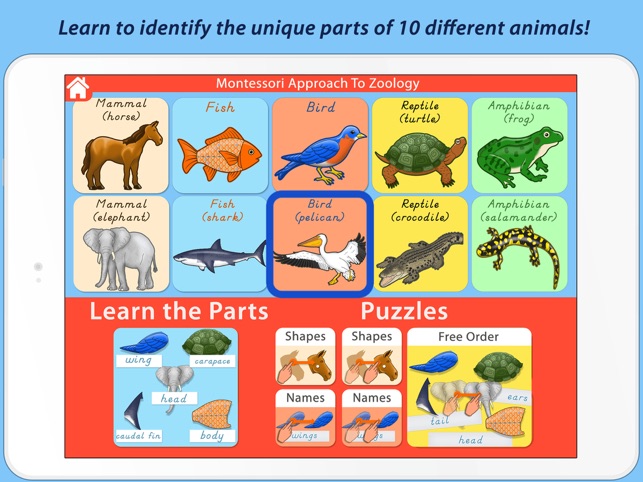 Parts Of Animals (Vertebrates) LITE - A Montessori Approach (圖2)-速報App