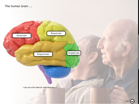Understanding Dementia v.2 screenshot 3