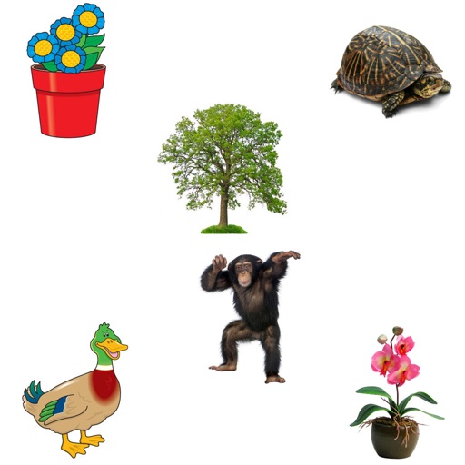 Identify Plants and Animals Icon