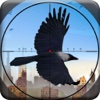 City Crow Hunting : Forest Bird Sniper Shooting Game Free