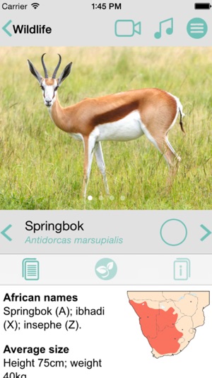 Sasol Wildlife for Beginners (Lite): Quick facts, photos and(圖3)-速報App