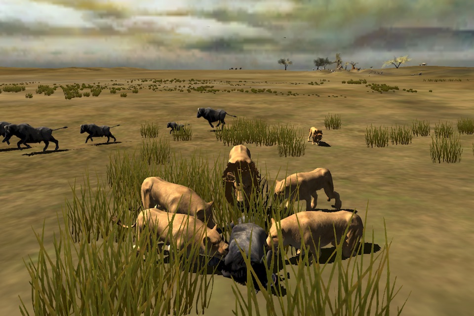 Africa Wild Free screenshot 3