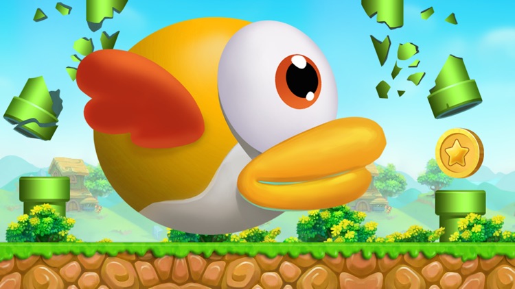 Super Birds Of The Endless Adventure