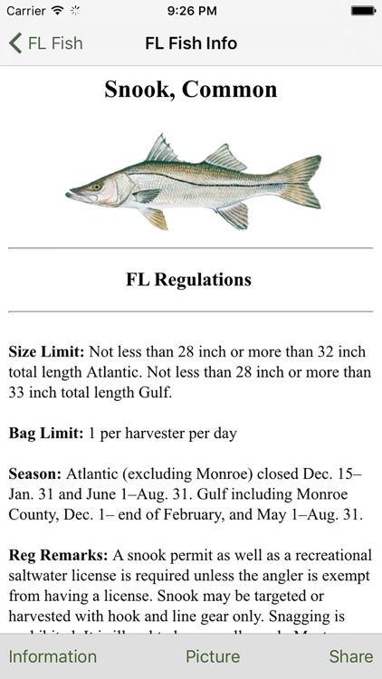 FL Saltwater Fishing Companion