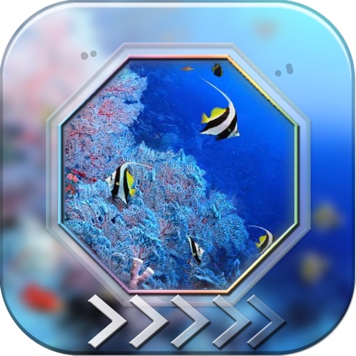 BlurLock - Ocean : Blur Lock Screen Under Water World Photo Maker Wallpapers Pro