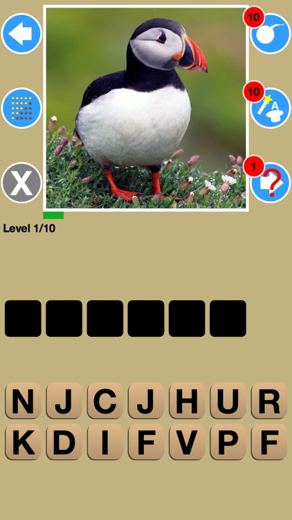 Big Bird Watchers Quiz Maestro: Ornithology Watching Word Trivia