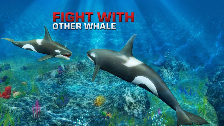 Killer Whale Simulator 3D – An Orca simulation game by Ahsan Fazal