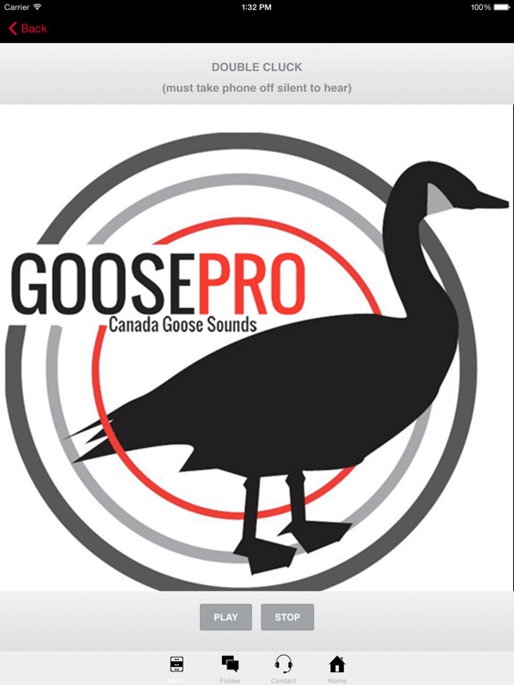 Goose Hunting Calls-Goose Sounds Goose Call App screenshot-3